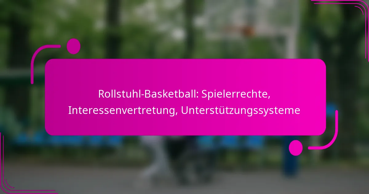 Rollstuhl-Basketball: Spielerrechte, Interessenvertretung, Unterstützungssysteme