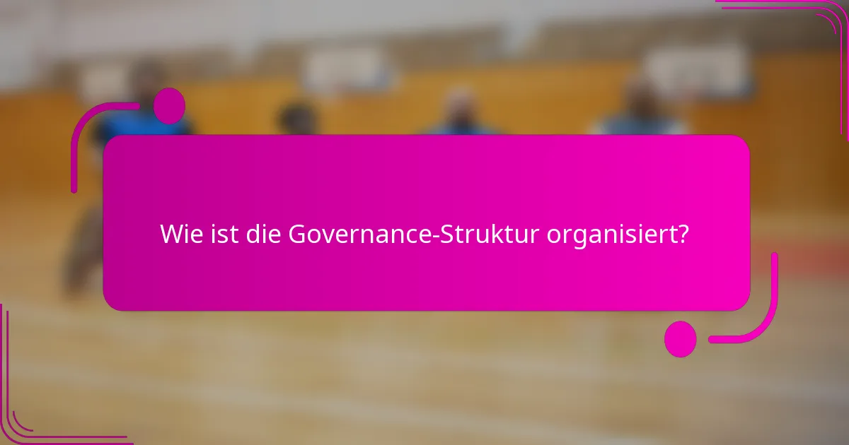 Wie ist die Governance-Struktur organisiert?